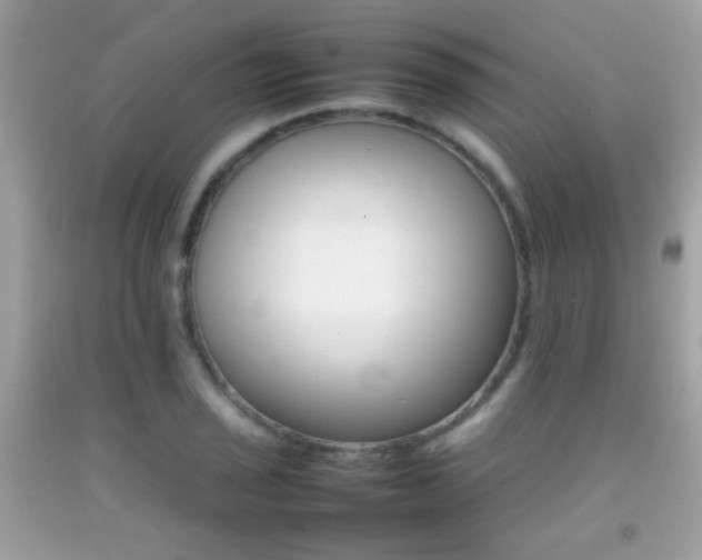 X0000092071029200709121412