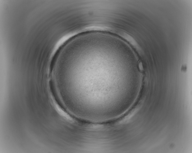 X0000092071030200709121412