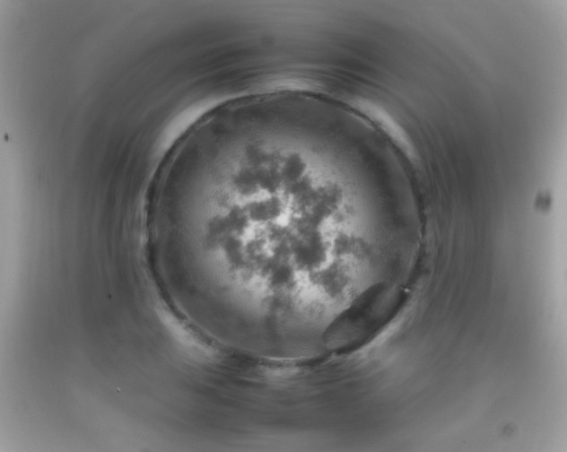 X0000092071031200709121412