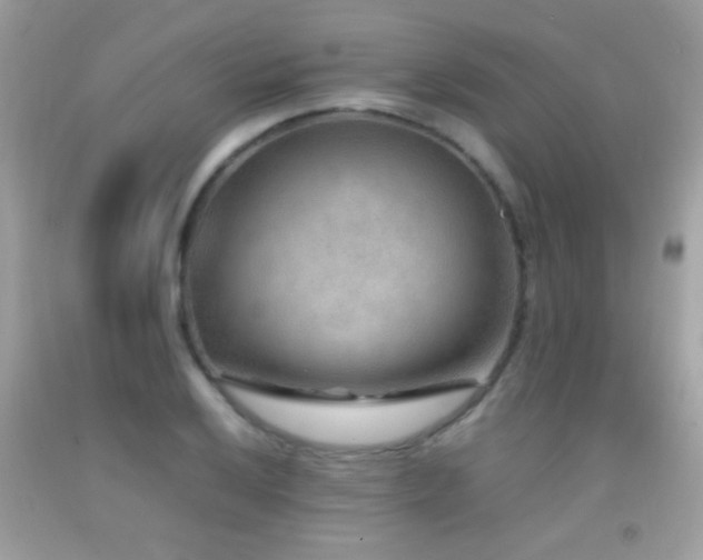 X0000092071032200709121412