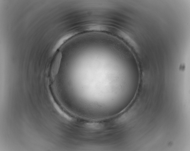 X0000092071033200709121412
