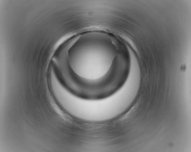 X0000092071034200709121412