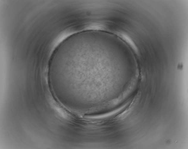 X0000092071035200709121412