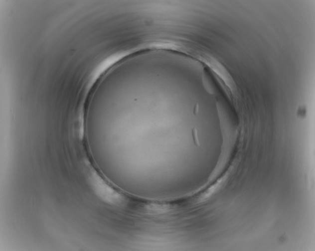 X0000092071036200709121412