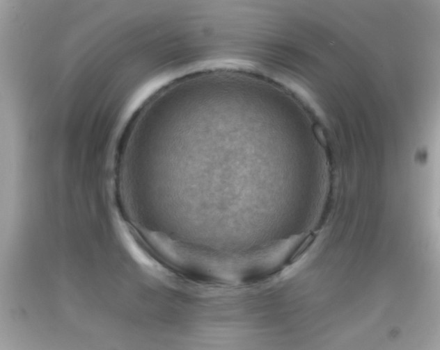 X0000092071038200709121412