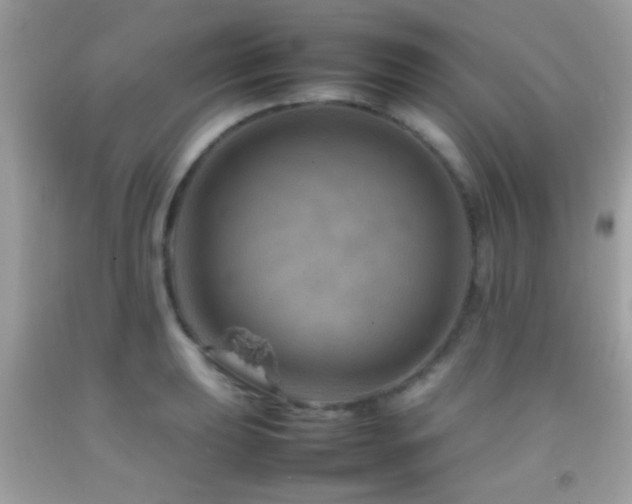 X0000092071039200709121412
