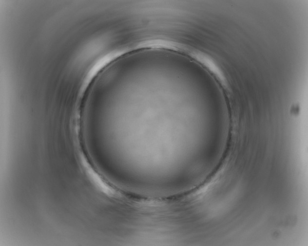 X0000092071040200709121412