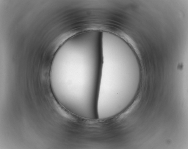 X0000092071041200709121412