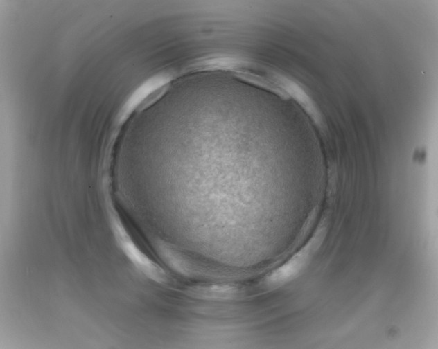 X0000092071042200709121412