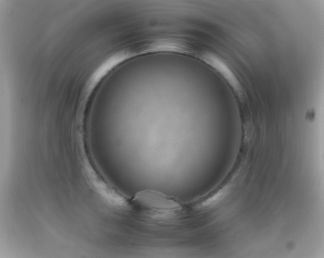 X0000092071043200709121412