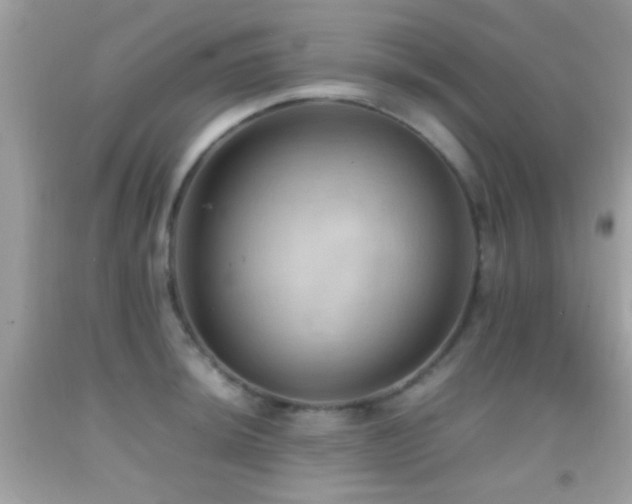 X0000092071044200709121412