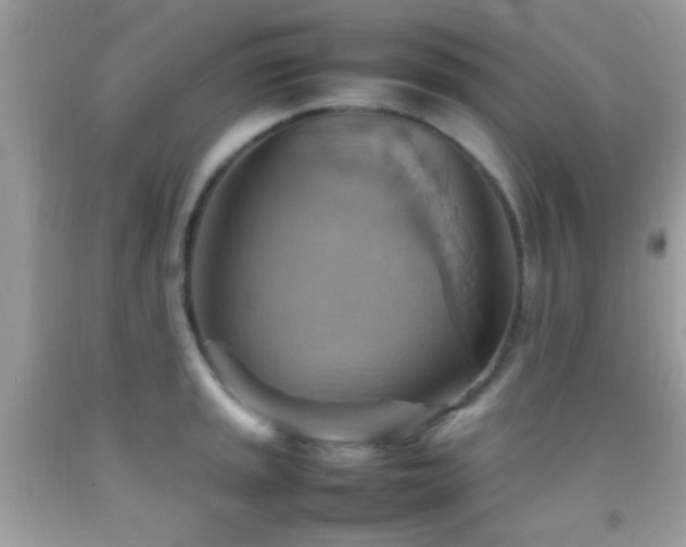 X0000092071045200709121412
