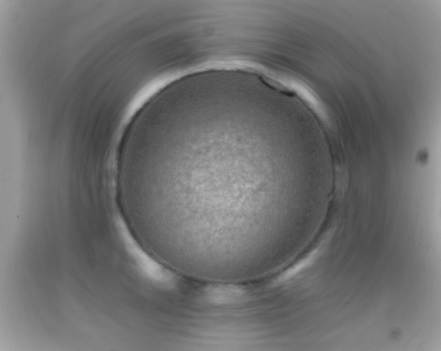 X0000092071046200709121412