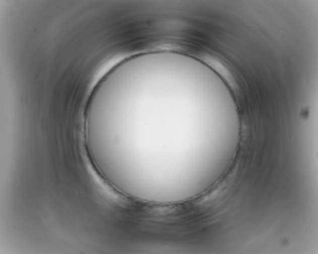 X0000092071047200709121412