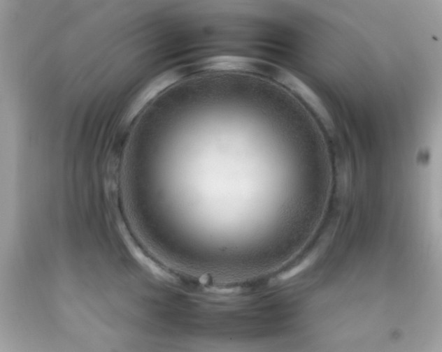 X0000092071049200709121412