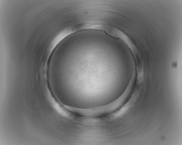 X0000092071050200709121412