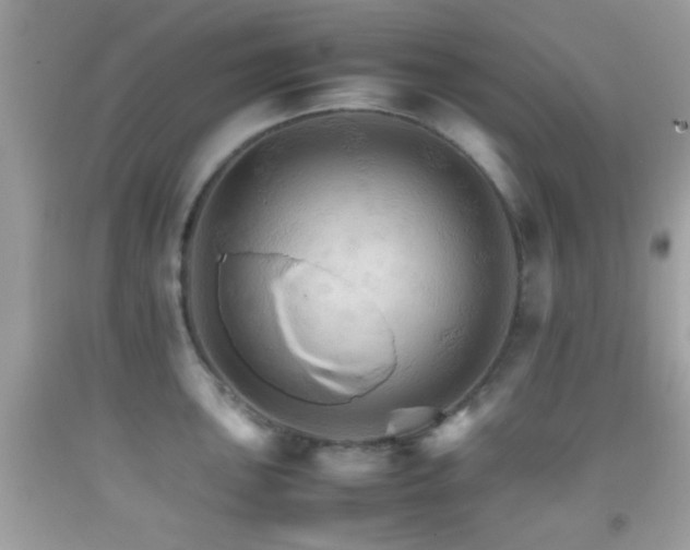X0000092071051200709121412