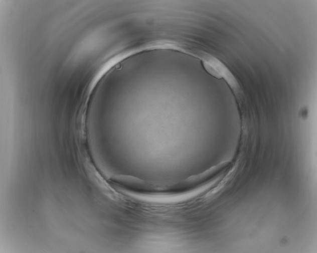 X0000092071052200709121412