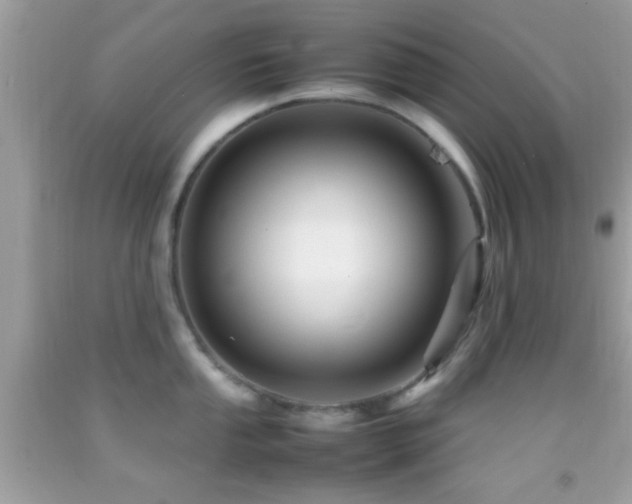X0000092071053200709121412