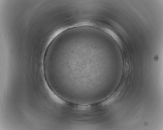 X0000092071055200709121412