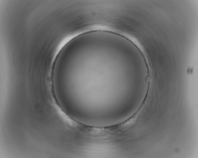 X0000092071056200709121412