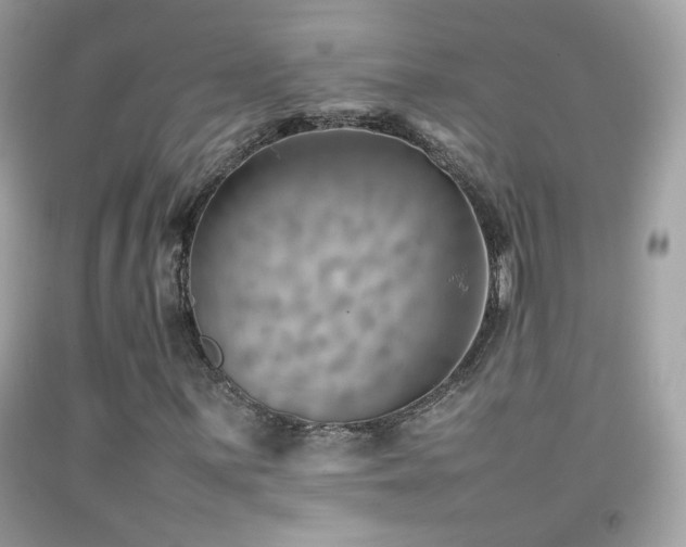 X0000092071059200709121412