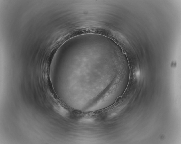 X0000092071060200709121412