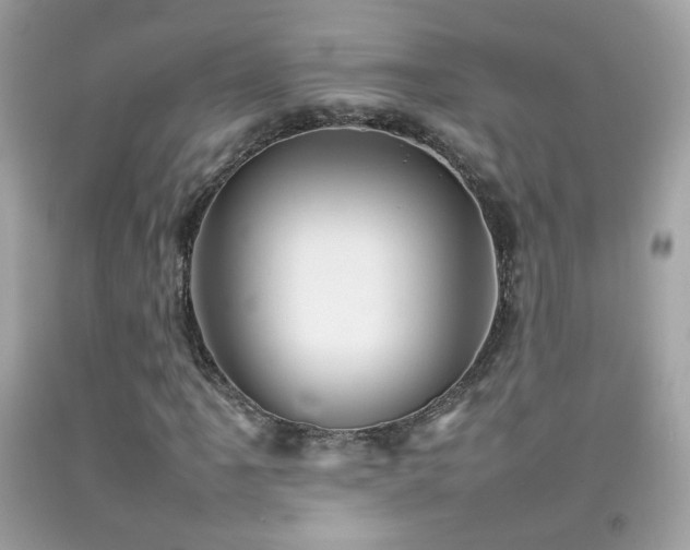 X0000092071061200709121412