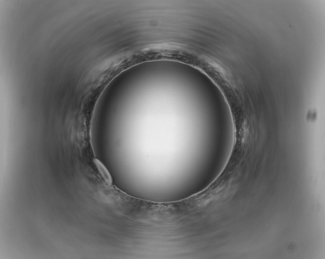 X0000092071062200709121412