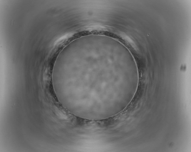 X0000092071063200709121412