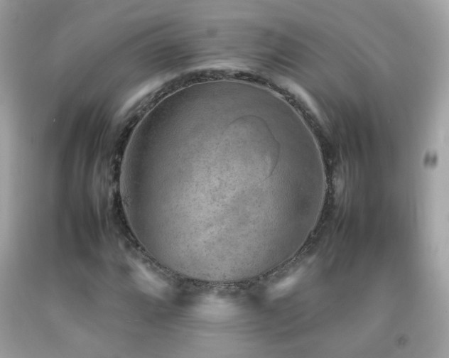 X0000092071064200709121411