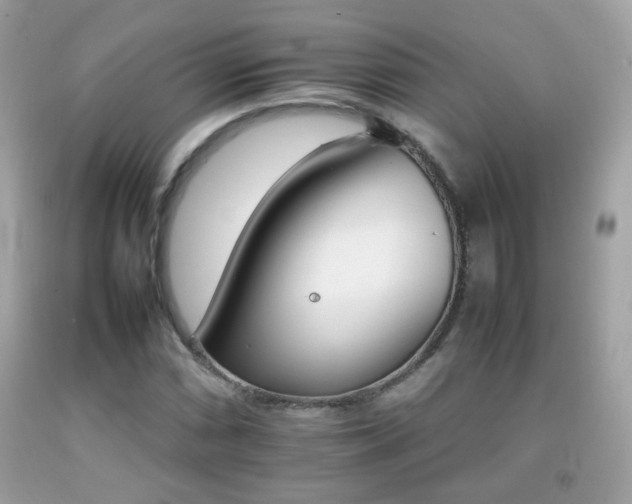 X0000092071066200709121411