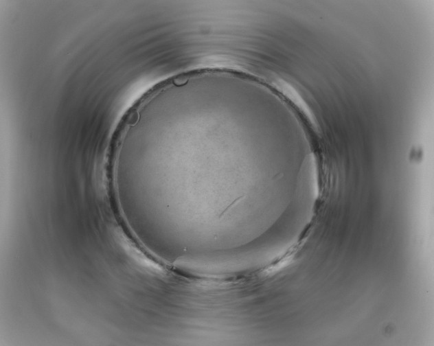 X0000092071068200709121411