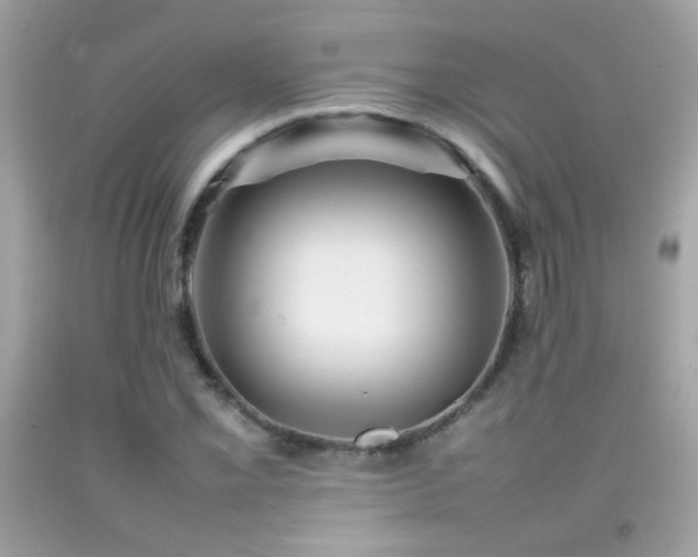 X0000092071069200709121411