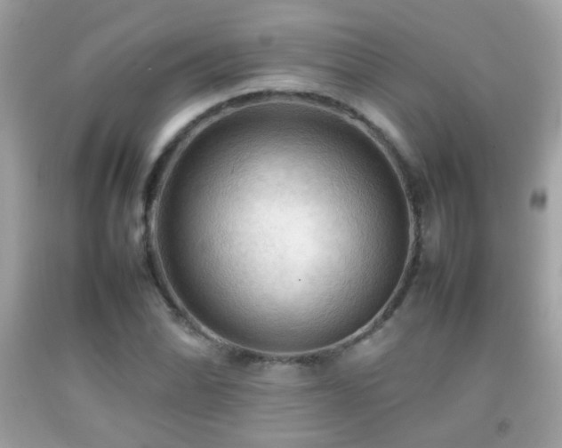 X0000092071070200709121411