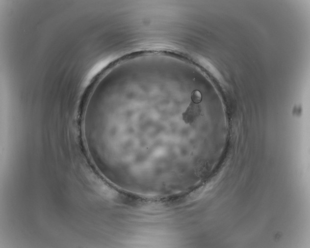 X0000092071071200709121411
