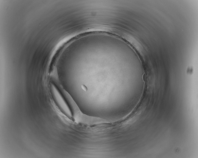 X0000092071072200709121411