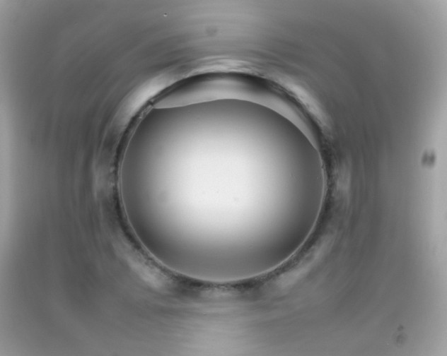 X0000092071073200709121411