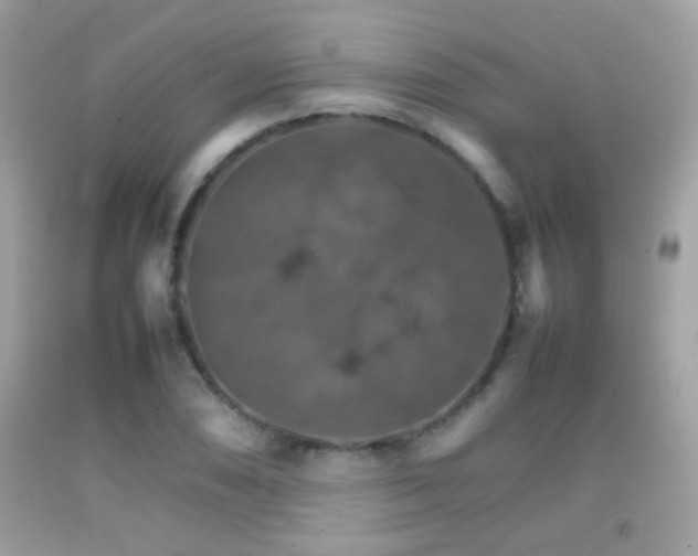 X0000092071074200709121411