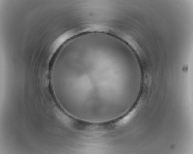 X0000092071075200709121411