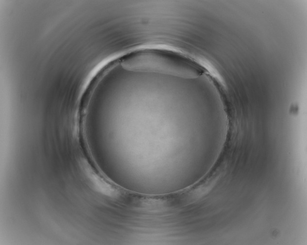 X0000092071076200709121411