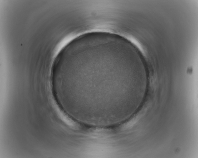 X0000092071077200709121411