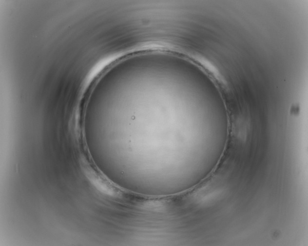 X0000092071078200709121411