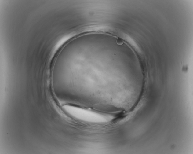 X0000092071079200709121411