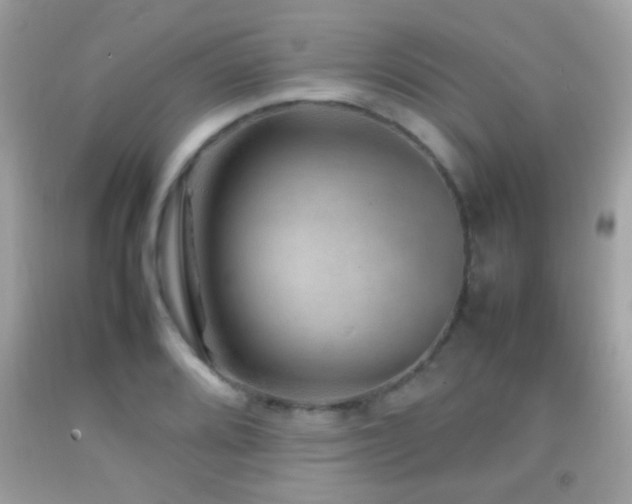 X0000092071080200709121411