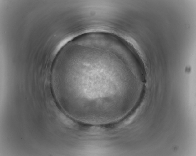 X0000092071081200709121411