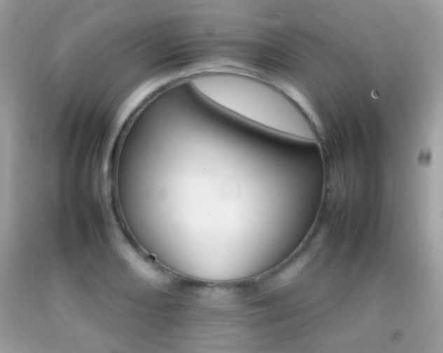 X0000092071082200709121411