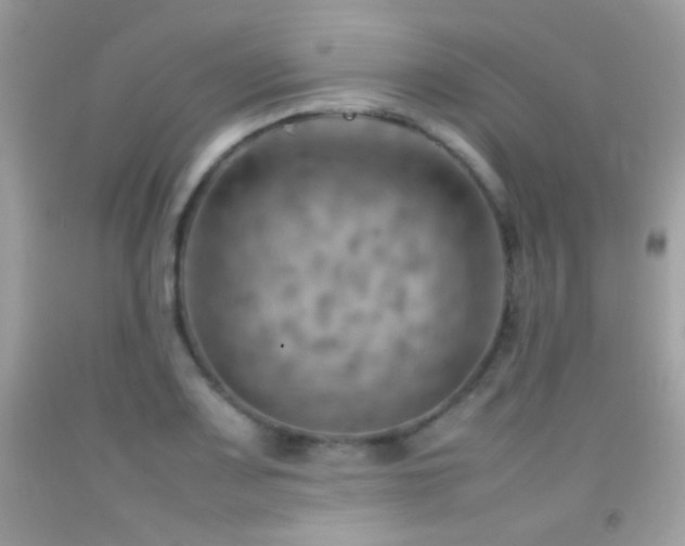 X0000092071083200709121411
