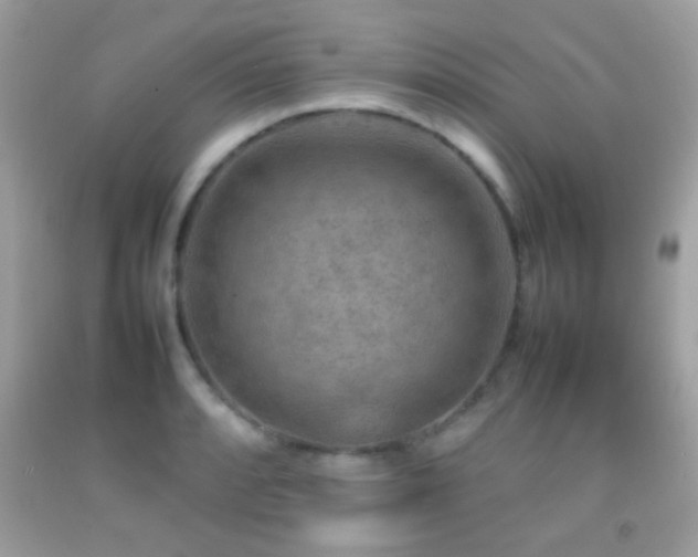 X0000092071088200709121411