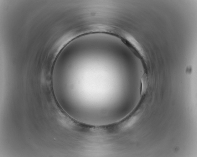 X0000092071089200709121411